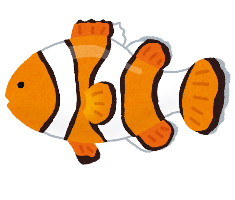 カクレクマノミが体調悪い原因コレかもしれません 田舎暮らす